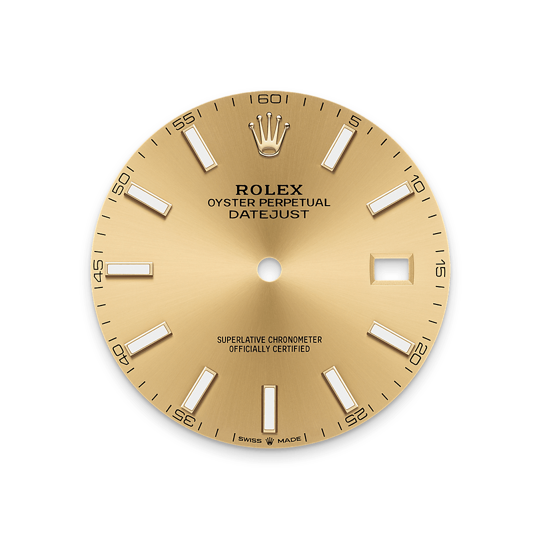 rolex Datejust 41 dial in Yellow Rolesor - combination of Oystersteel and yellow gold, M126333-0010 - Myungbosa