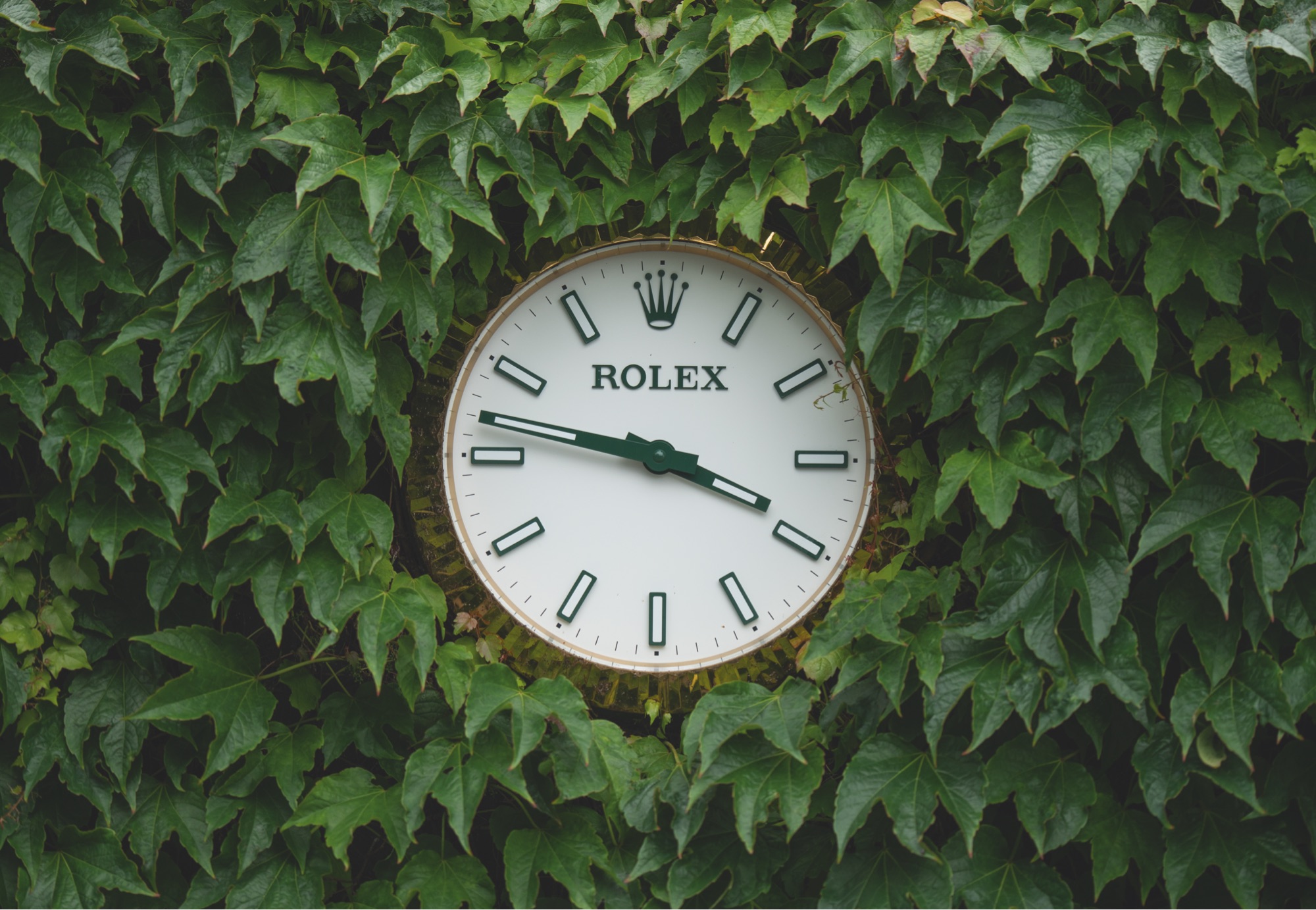 Rolex and The Championships, Wimbledon | Myungbosa - Myungbosa